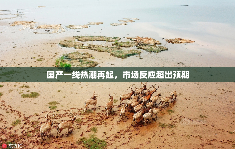 国产一线热潮再起，市场反应超出预期