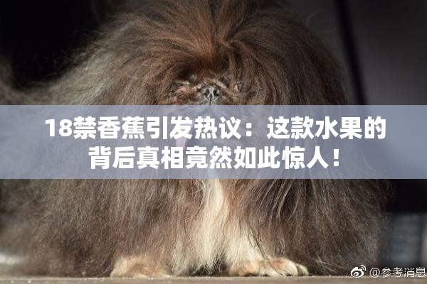 18禁香蕉引发热议：这款水果的背后真相竟然如此惊人！