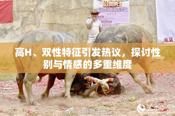 高H、双性特征引发热议，探讨性别与情感的多重维度