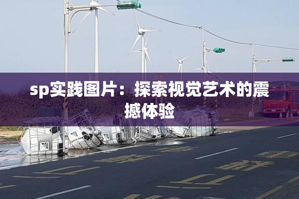 sp实践图片：探索视觉艺术的震撼体验