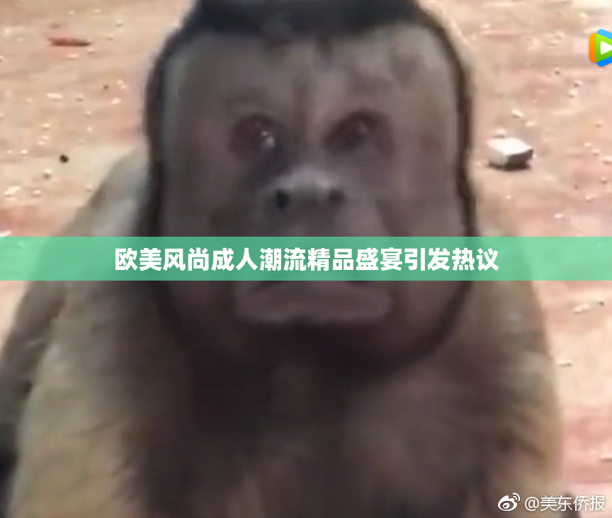 欧美风尚成人潮流精品盛宴引发热议