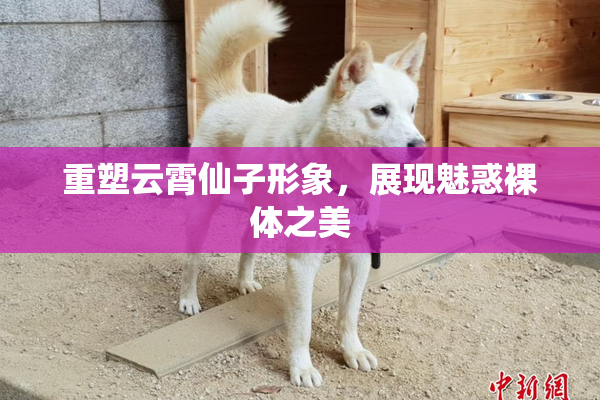 重塑云霄仙子形象，展现魅惑裸体之美