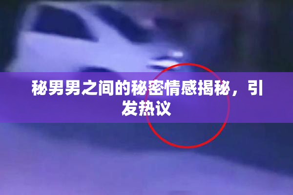 秘男男之间的秘密情感揭秘，引发热议