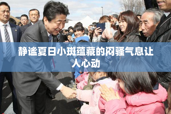 静谧夏日小斑蕴藏的闷骚气息让人心动