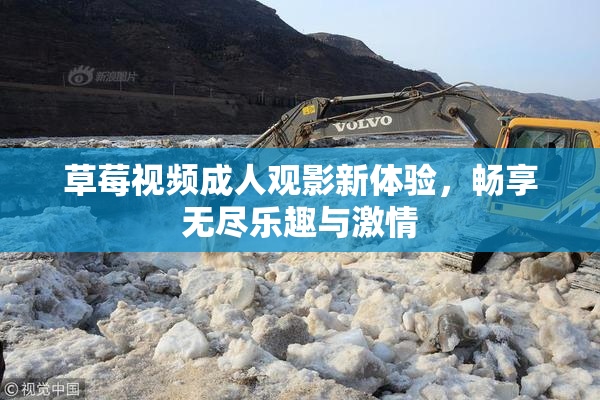 草莓视频成人观影新体验，畅享无尽乐趣与激情