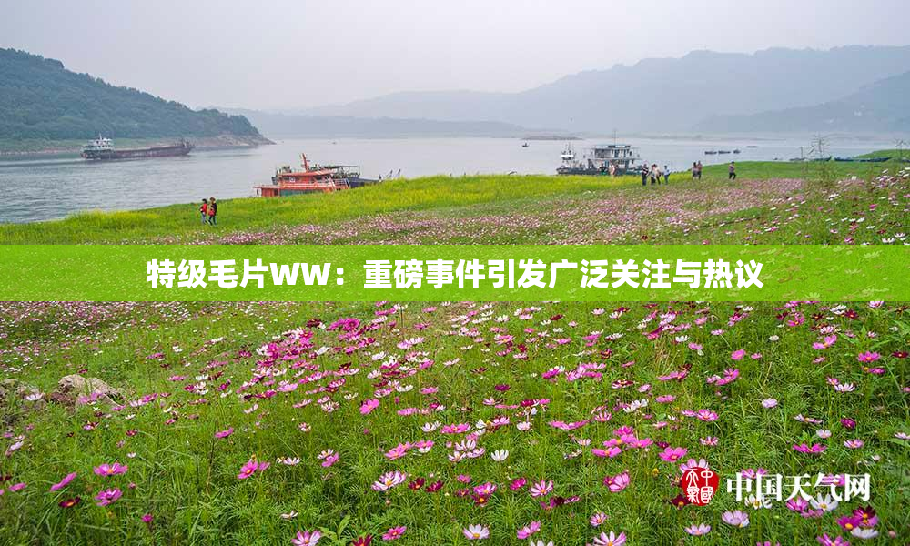 特级毛片WW：重磅事件引发广泛关注与热议