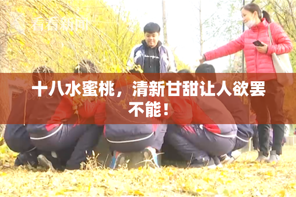 十八水蜜桃，清新甘甜让人欲罢不能！