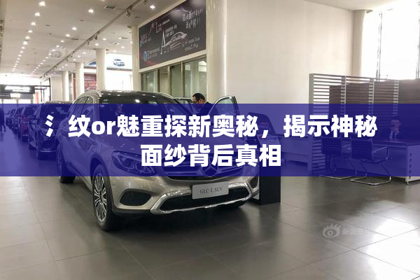氵纹or魅重探新奥秘，揭示神秘面纱背后真相