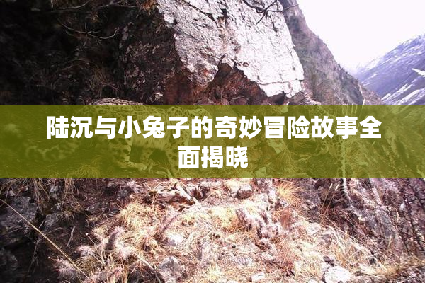 陆沉与小兔子的奇妙冒险故事全面揭晓