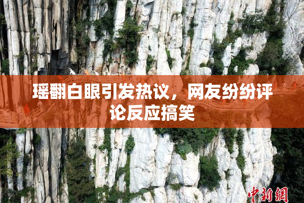 瑶翻白眼引发热议，网友纷纷评论反应搞笑