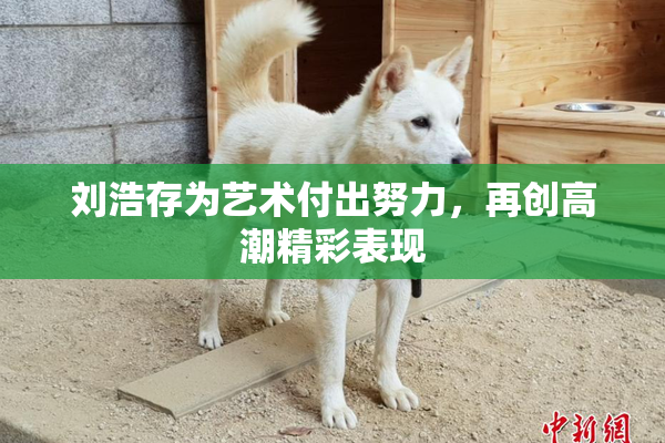 刘浩存为艺术付出努力，再创高潮精彩表现