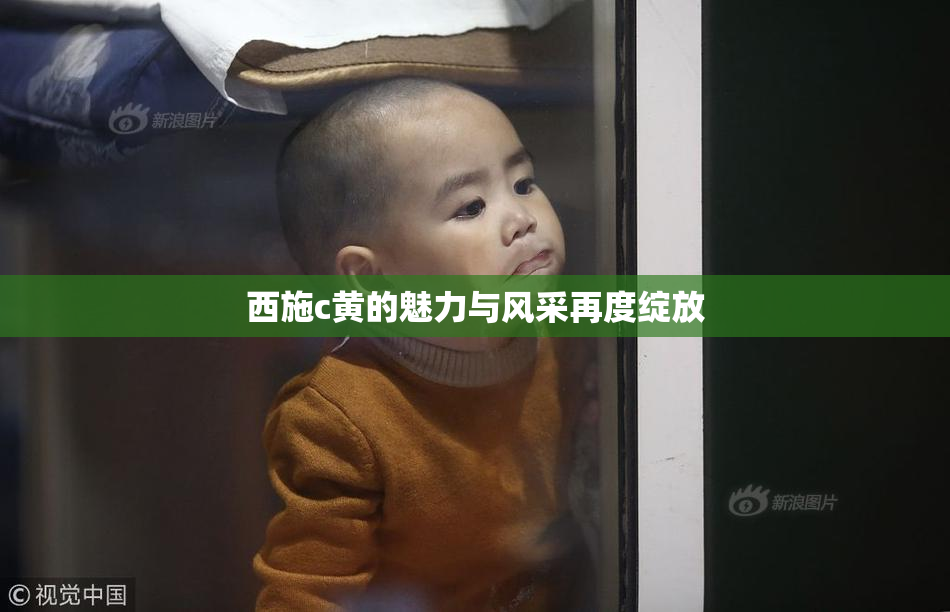西施c黄的魅力与风采再度绽放
