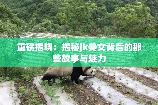 重磅揭晓：揭秘jk美女背后的那些故事与魅力