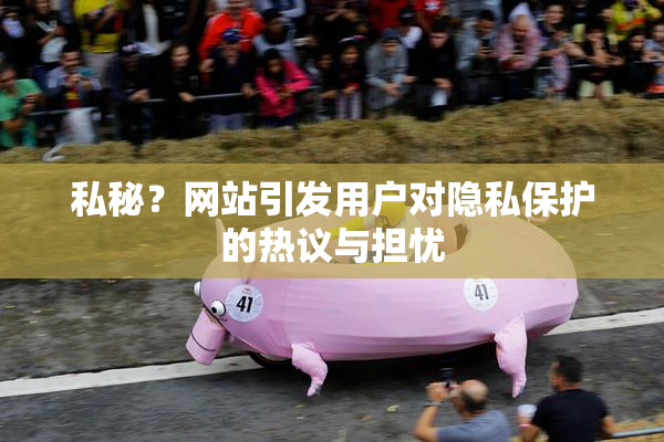 私秘？网站引发用户对隐私保护的热议与担忧