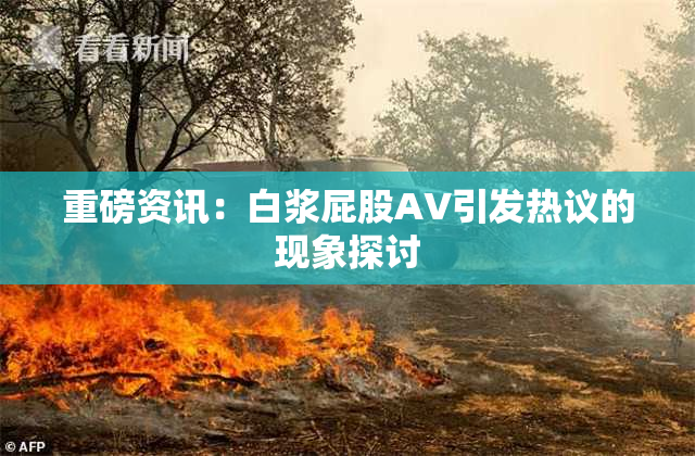 重磅资讯：白浆屁股AV引发热议的现象探讨