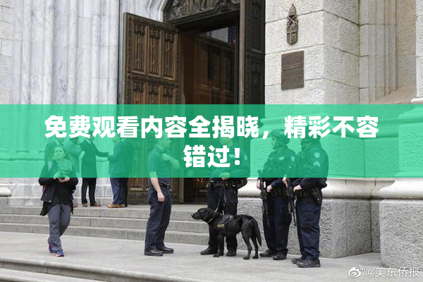 免费观看内容全揭晓，精彩不容错过！