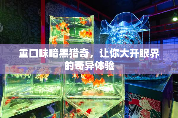 重口味暗黑猎奇，让你大开眼界的奇异体验