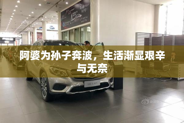 阿婆为孙子奔波，生活渐显艰辛与无奈