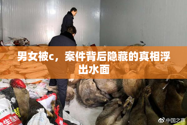 男女被c，案件背后隐藏的真相浮出水面