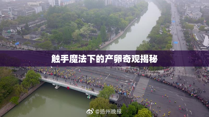 触手魔法下的产卵奇观揭秘