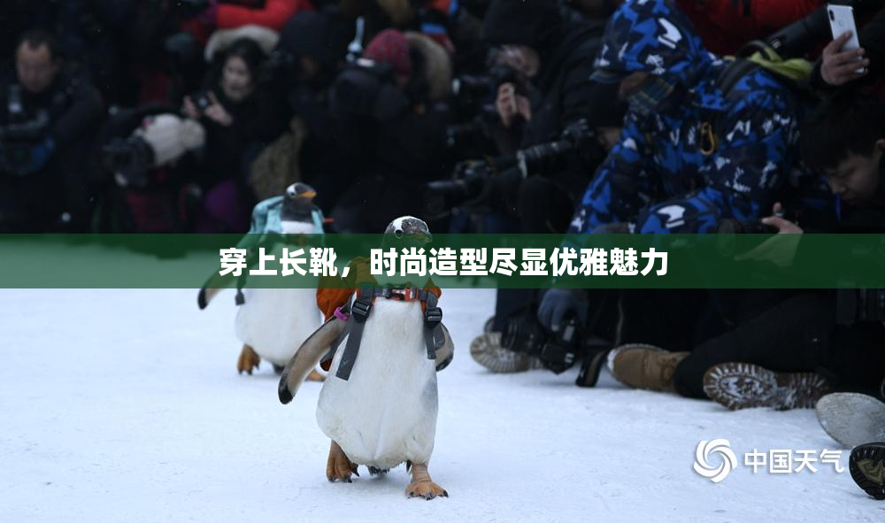 穿上长靴，时尚造型尽显优雅魅力