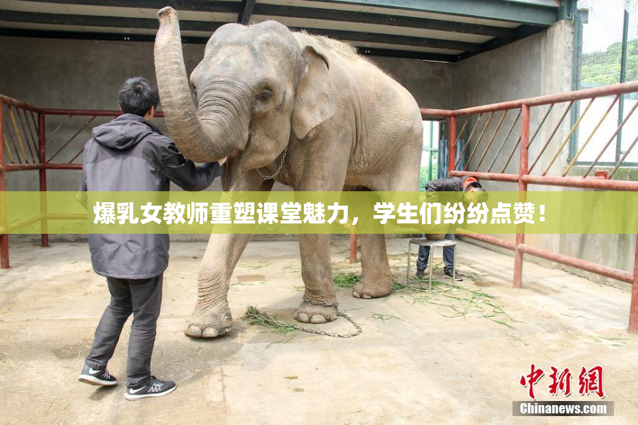爆乳女教师重塑课堂魅力，学生们纷纷点赞！
