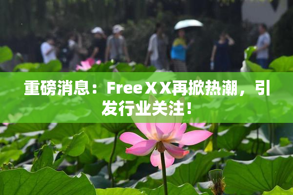 重磅消息：FreeⅩX再掀热潮，引发行业关注！