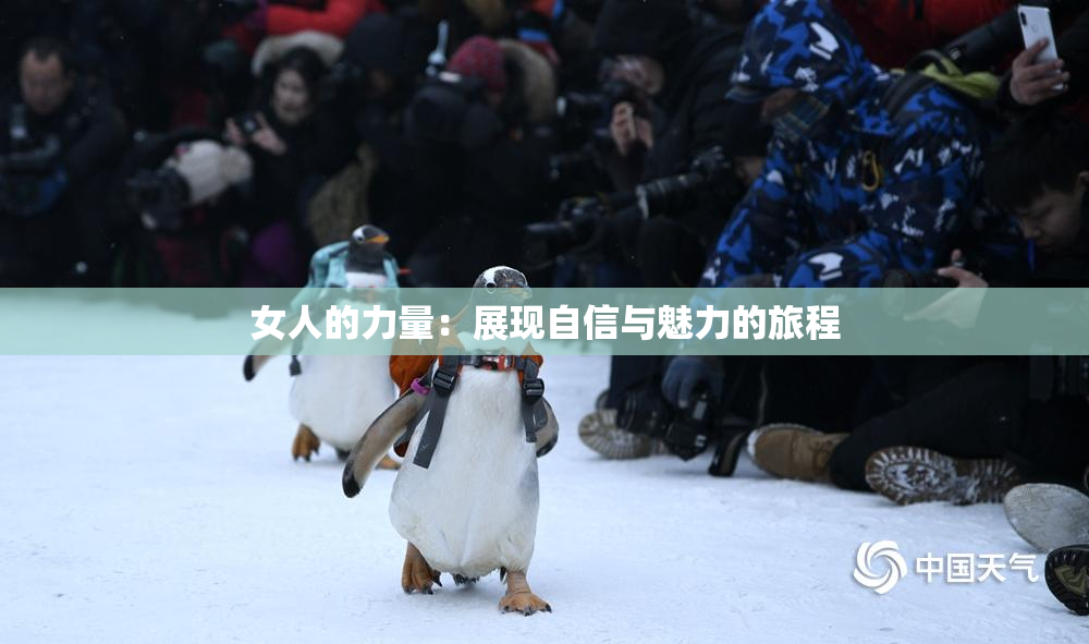 女人的力量：展现自信与魅力的旅程