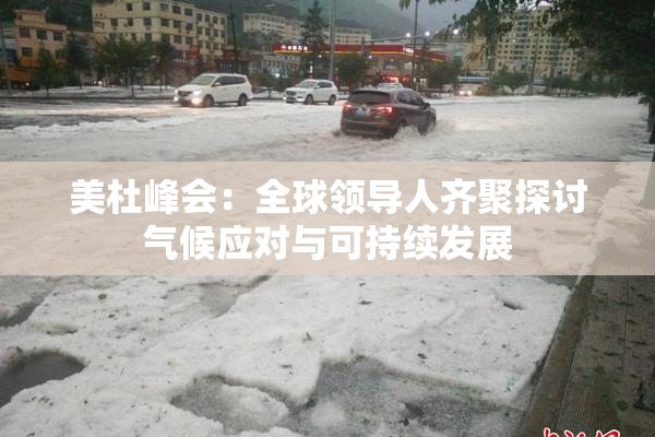 美杜峰会：全球领导人齐聚探讨气候应对与可持续发展