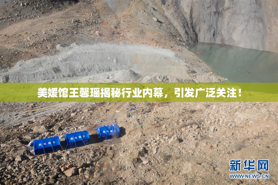 美媛馆王馨瑶揭秘行业内幕，引发广泛关注！
