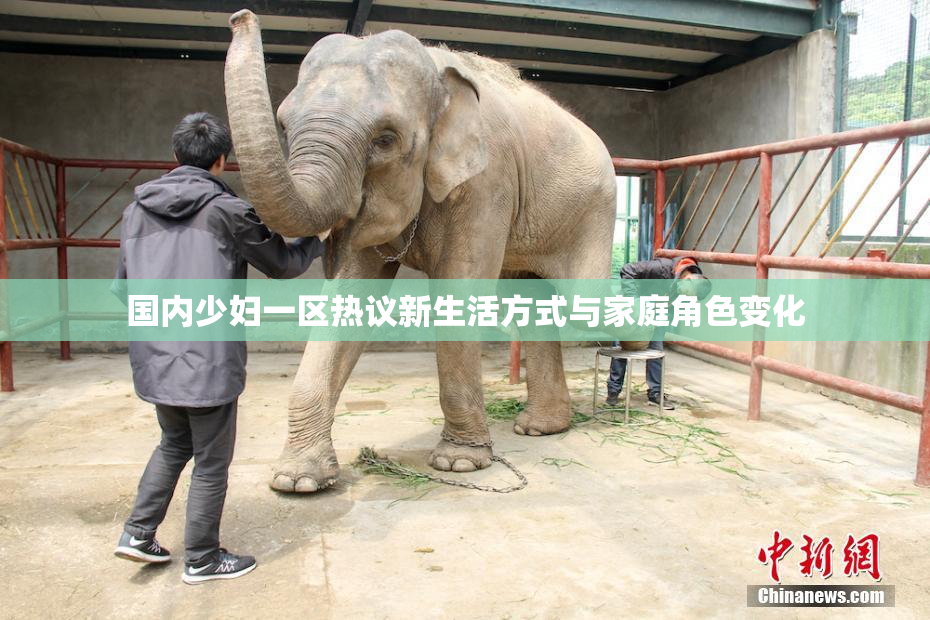国内少妇一区热议新生活方式与家庭角色变化