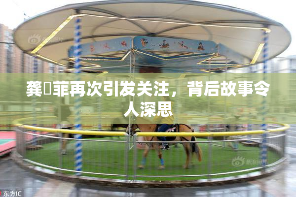 龚玥菲再次引发关注，背后故事令人深思