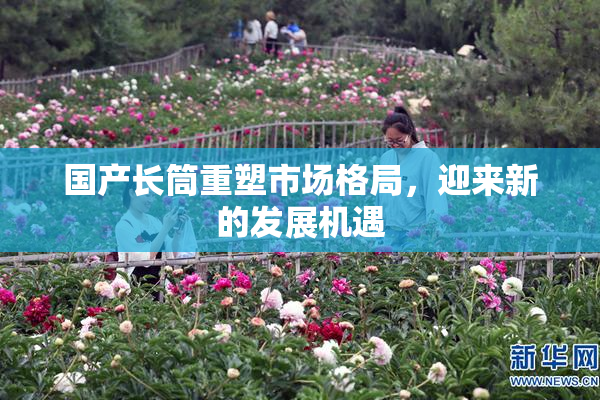 国产长筒重塑市场格局，迎来新的发展机遇