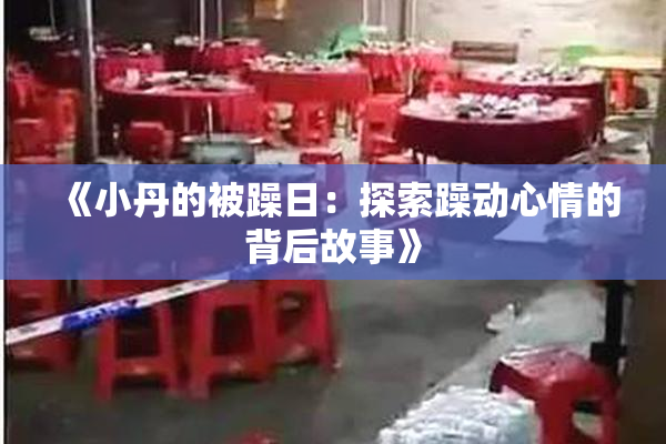 《小丹的被躁日：探索躁动心情的背后故事》