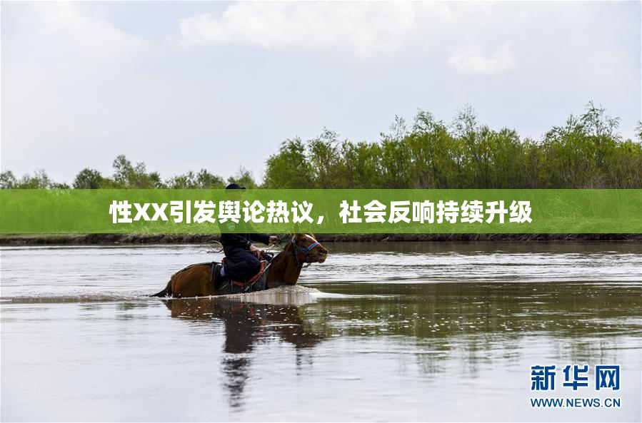 性XX引发舆论热议，社会反响持续升级