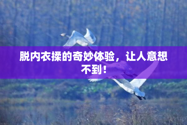 脱内衣揉的奇妙体验，让人意想不到！