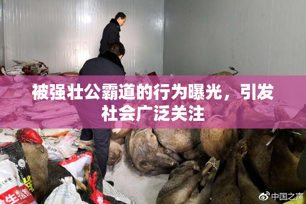 被强壮公霸道的行为曝光，引发社会广泛关注