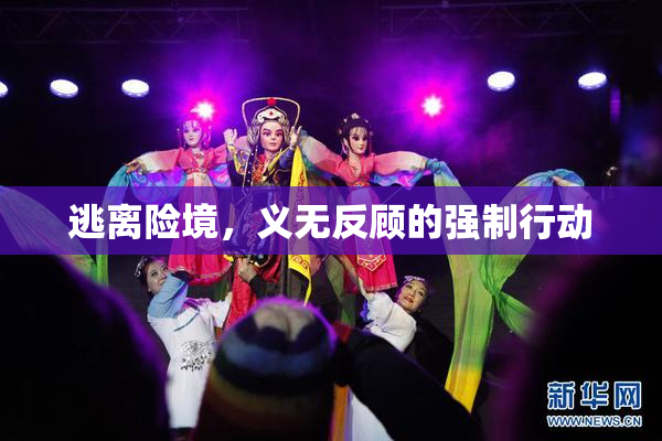 逃离险境，义无反顾的强制行动