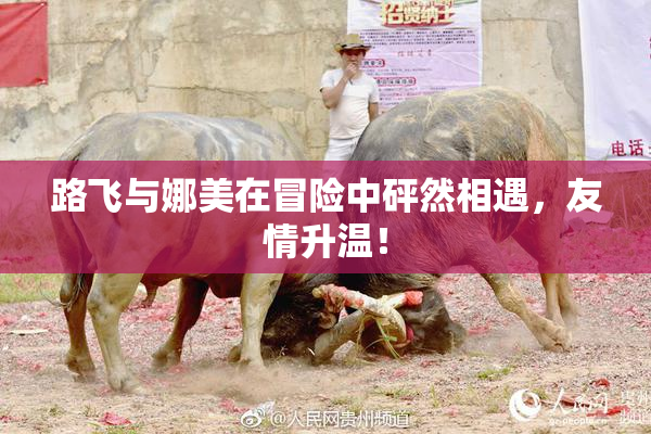 路飞与娜美在冒险中砰然相遇，友情升温！