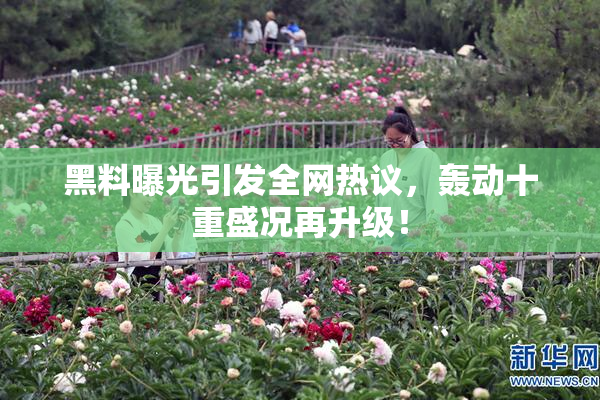 黑料曝光引发全网热议，轰动十重盛况再升级！