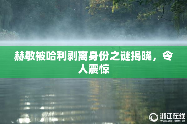 赫敏被哈利剥离身份之谜揭晓，令人震惊