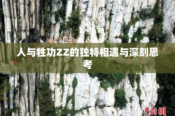 人与牲功ZZ的独特相遇与深刻思考