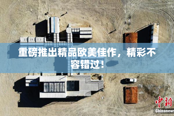 重磅推出精品欧美佳作，精彩不容错过！