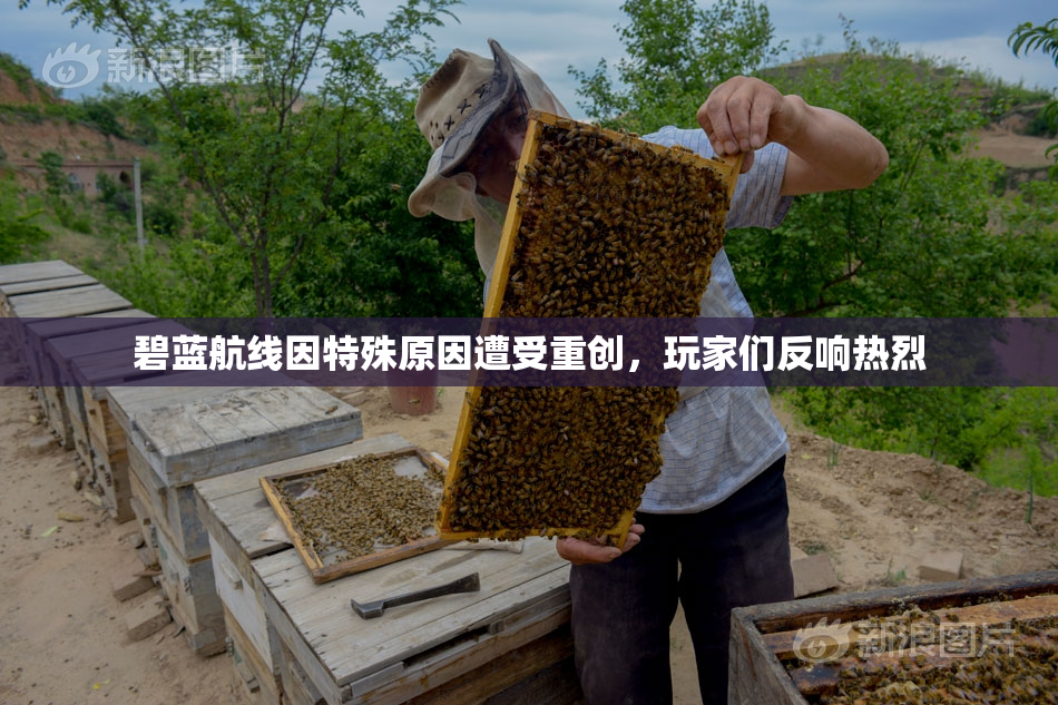 碧蓝航线因特殊原因遭受重创，玩家们反响热烈