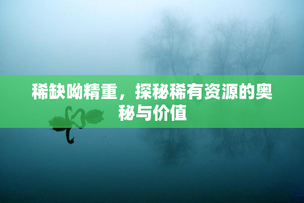 稀缺呦精重，探秘稀有资源的奥秘与价值