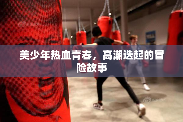 美少年热血青春，高潮迭起的冒险故事