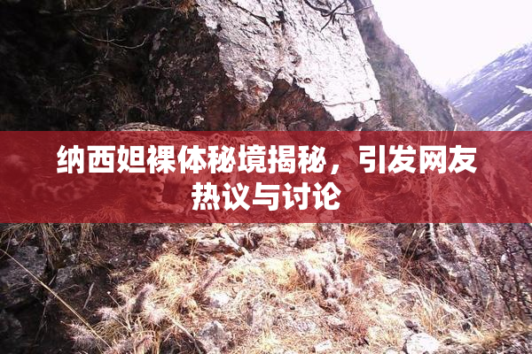 纳西妲裸体秘境揭秘，引发网友热议与讨论