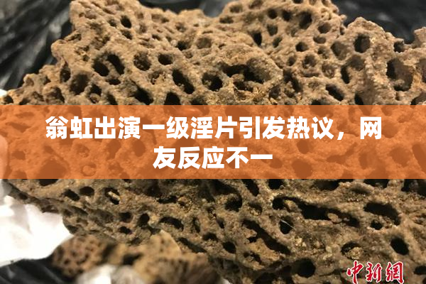 翁虹出演一级淫片引发热议，网友反应不一