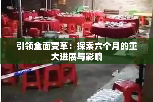 引领全面变革：探索六个月的重大进展与影响