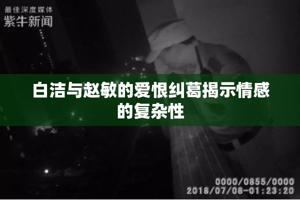 白洁与赵敏的爱恨纠葛揭示情感的复杂性